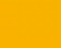 850 neon orange