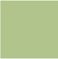 LG-06 Mist green
