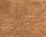 981 Antique Gold