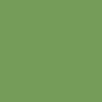 DR Sap Green