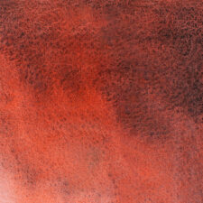 389 Scarlet Mist