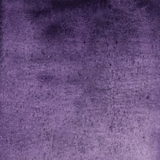 629 Violet Shadows