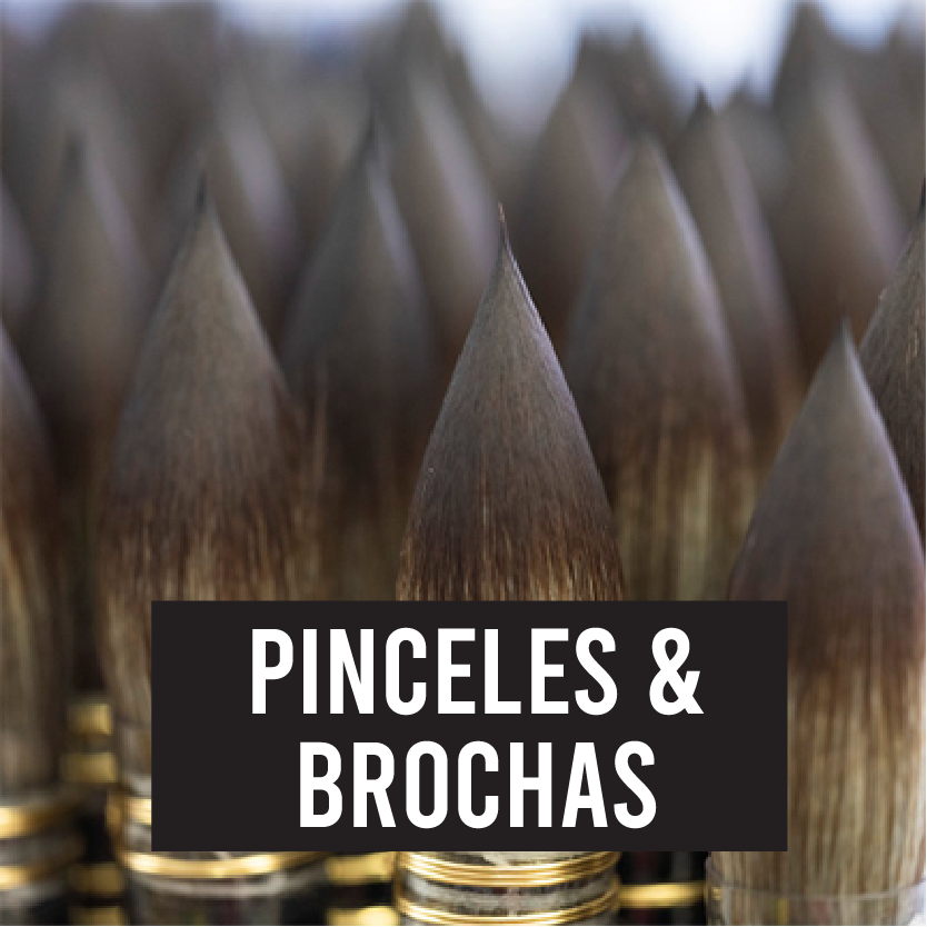 Pinceles y Brochas